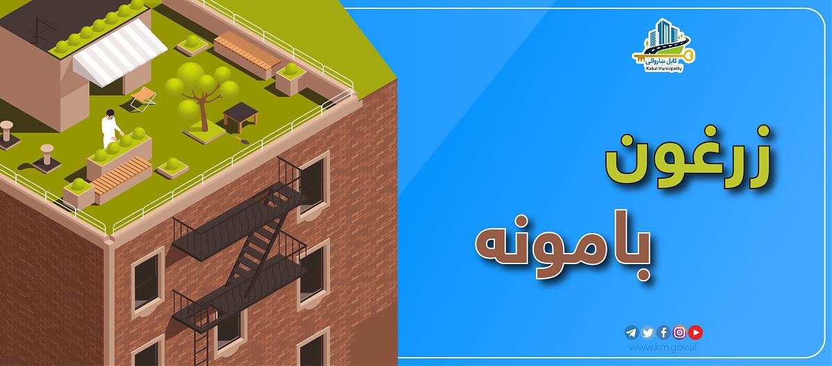 16097.jpg (2500 × 1100)