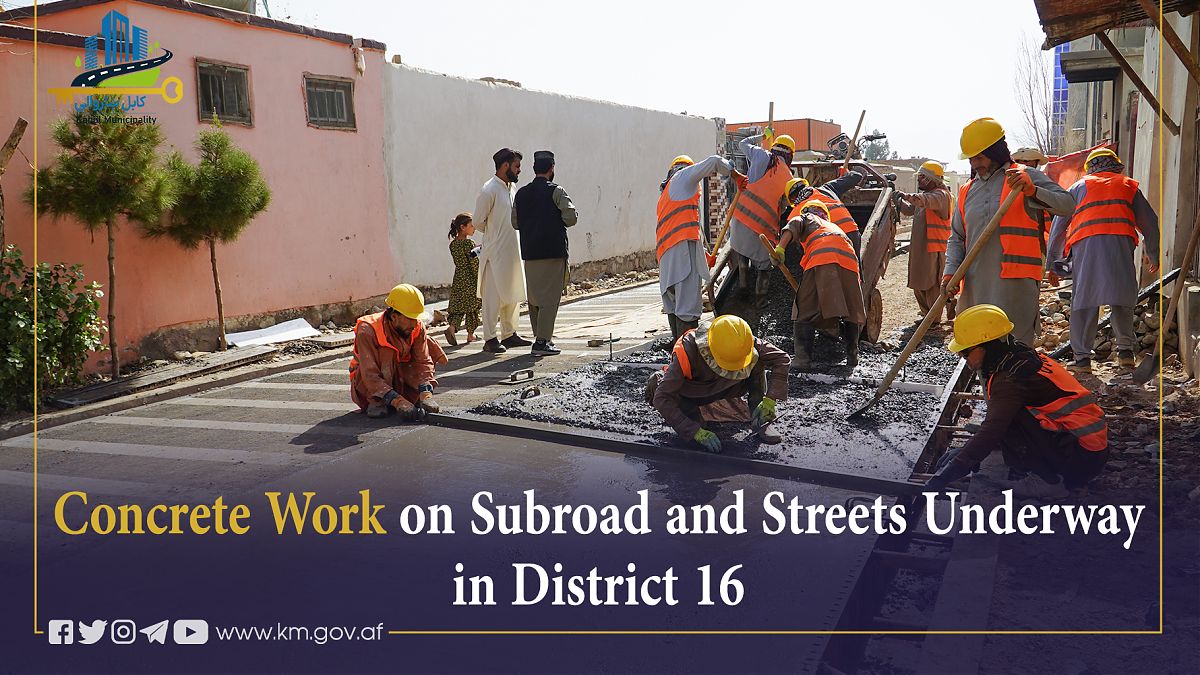 16506.jpg (1820 × 1024)