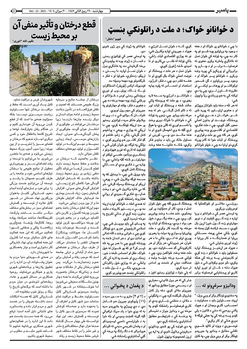 16779.jpg (842 × 1191)