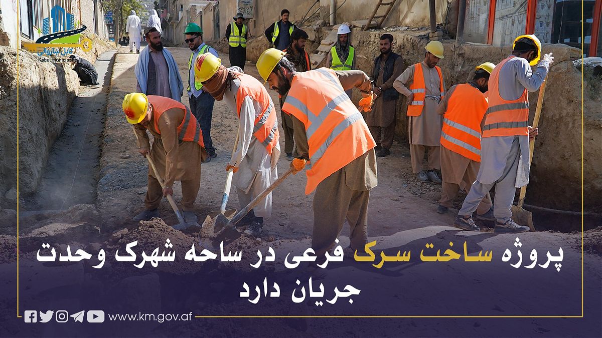 16813.jpg (1820 × 1024)