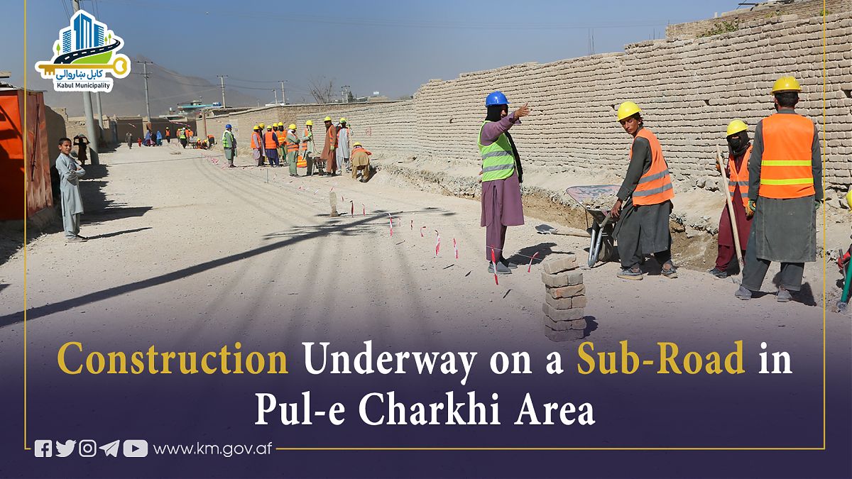 16938.jpg (1820 × 1024)