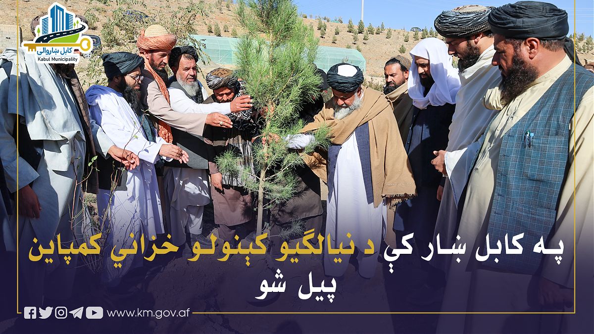 17095.jpg (1820 × 1024)