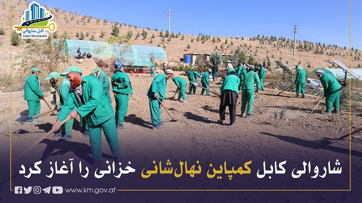 17096.jpg (1820 × 1024)