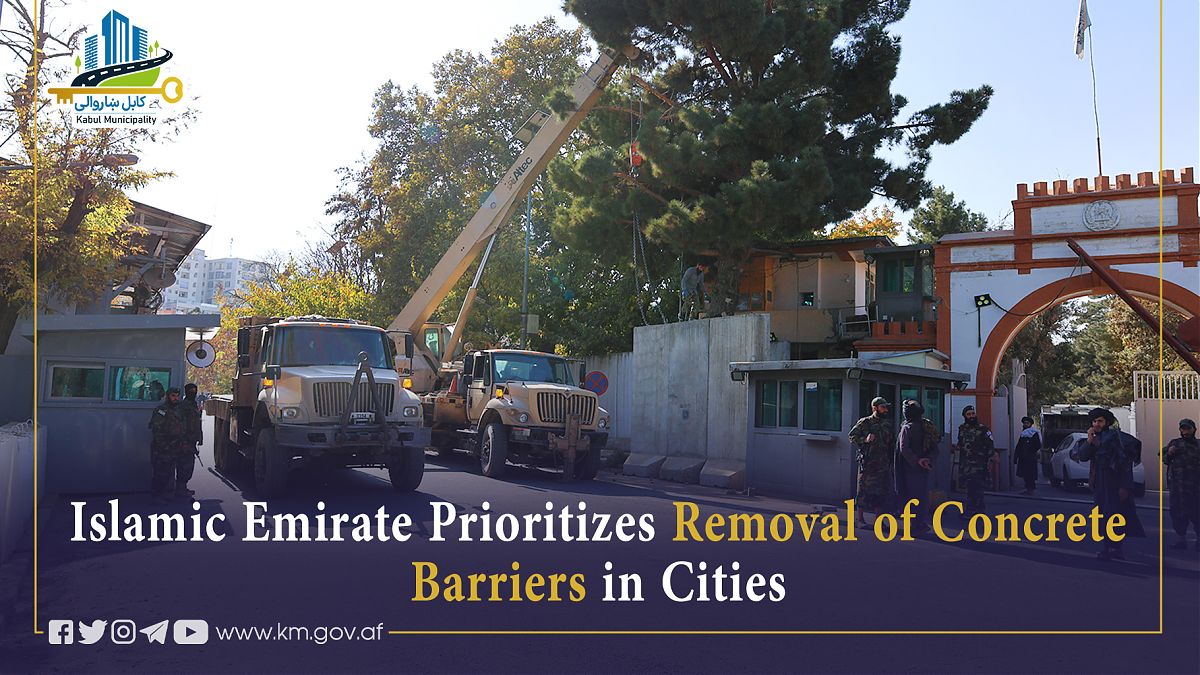 17110.jpg (1820 × 1024)