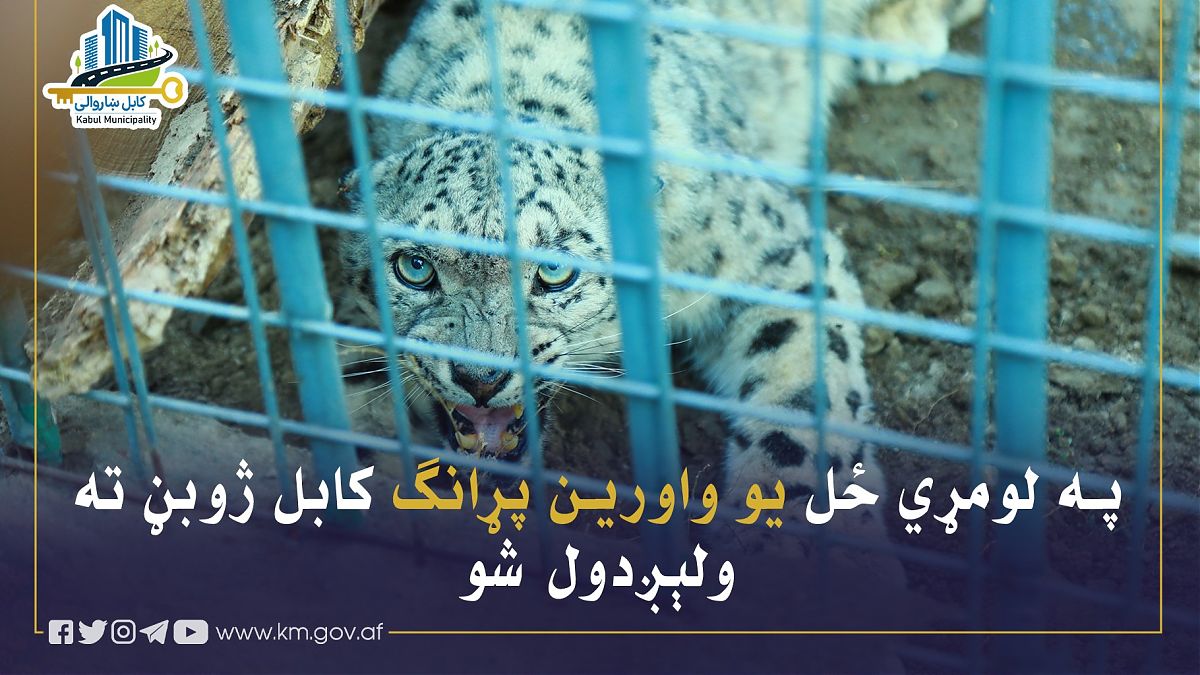 17129.jpg (1820 × 1024)