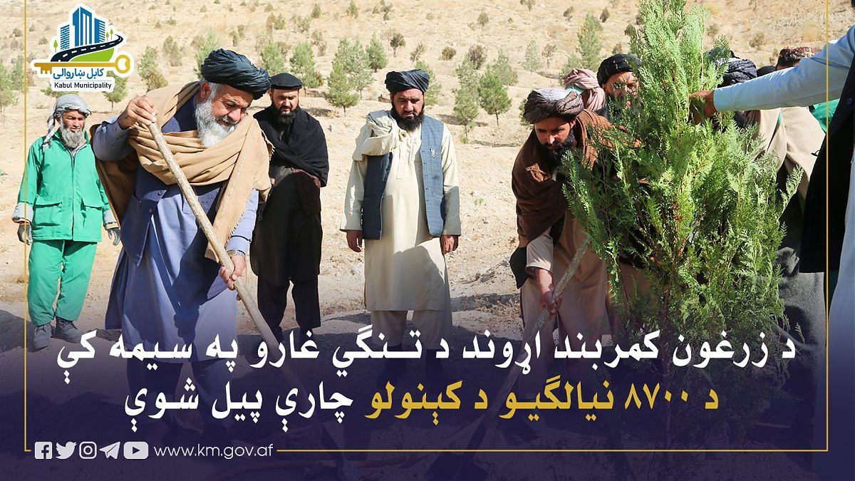 17135.jpg (1820 × 1024)