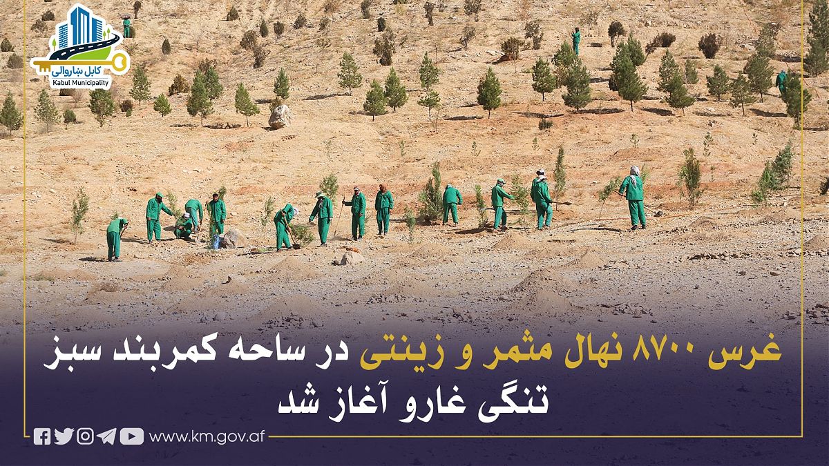 17136.jpg (1820 × 1024)