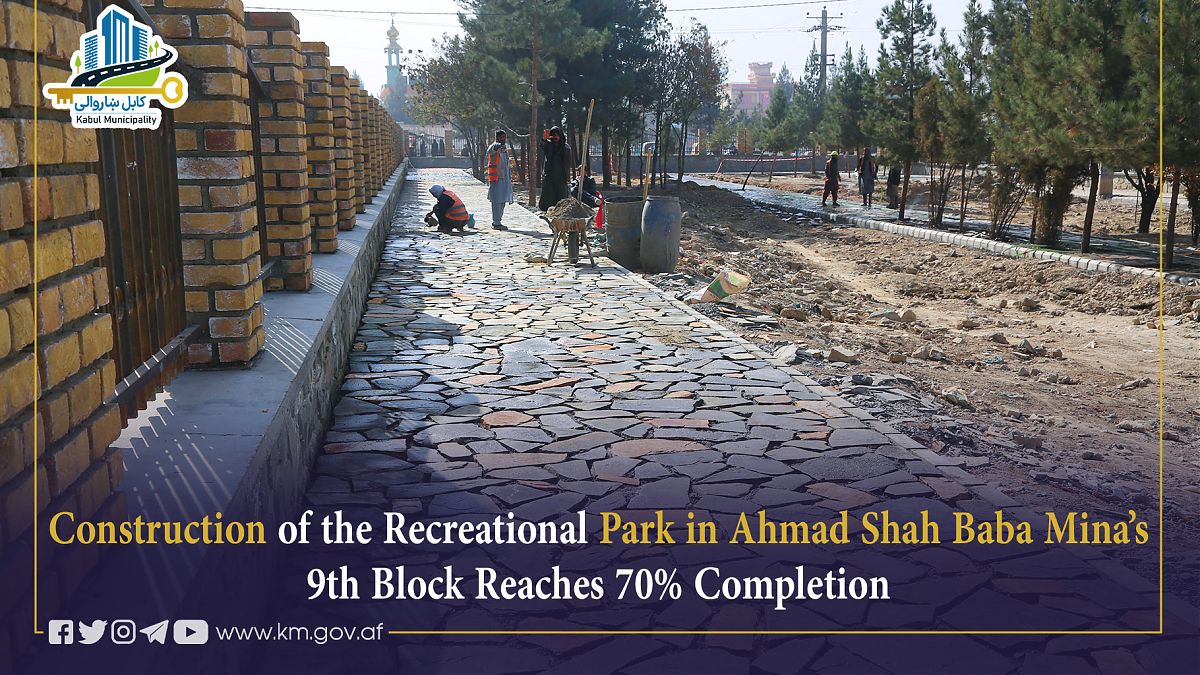 17139.jpg (1820 × 1024)