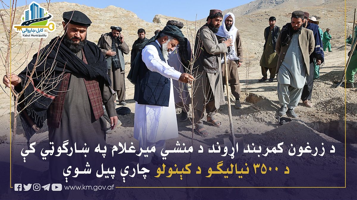 17145.jpg (1820 × 1024)