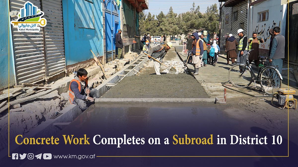 17169.jpg (1820 × 1024)