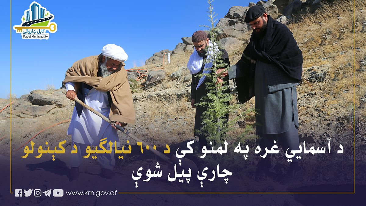 17182.jpg (1820 × 1024)