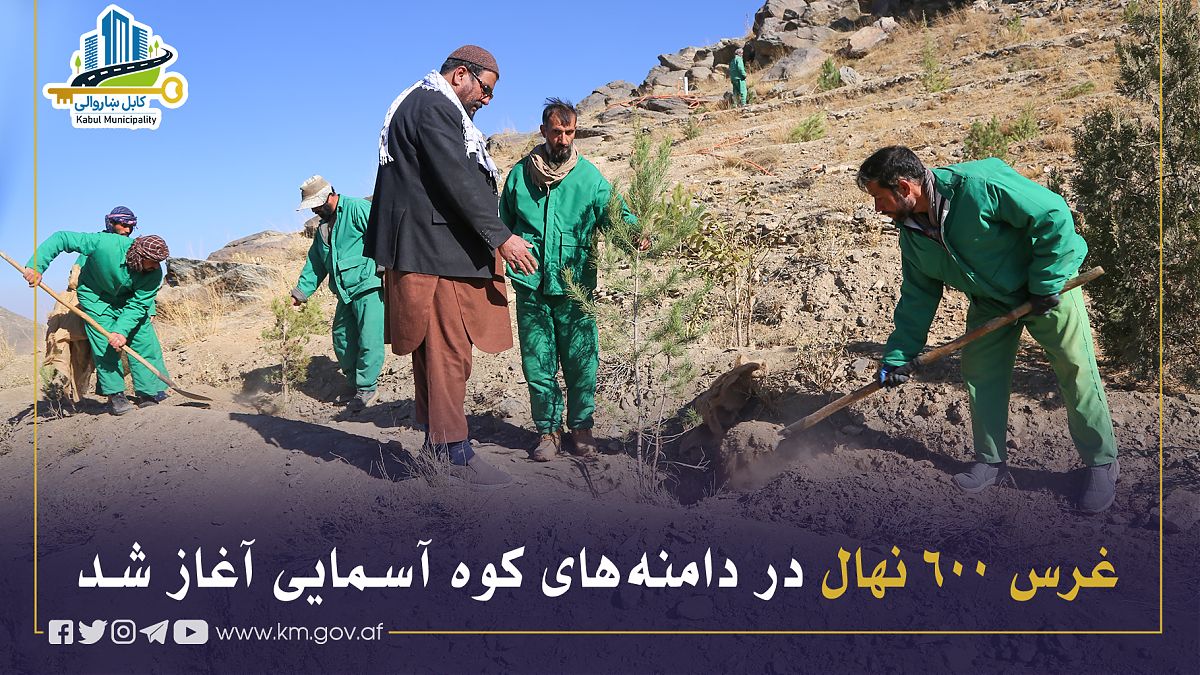 17183.jpg (1820 × 1024)