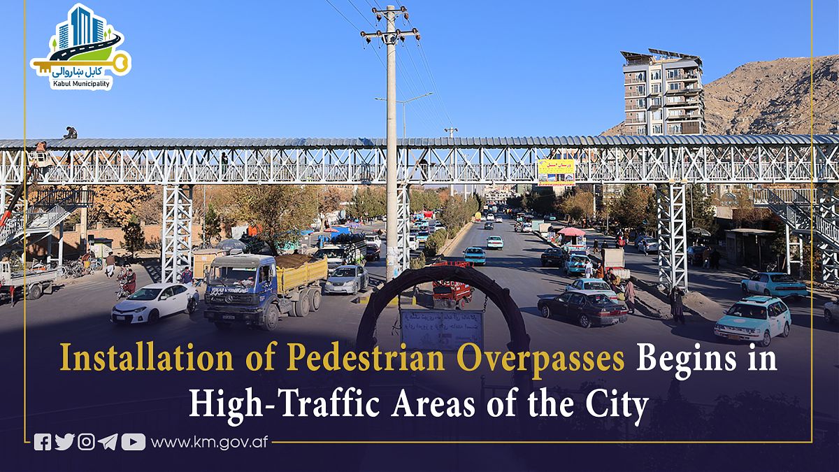 17201.jpg (1820 × 1024)