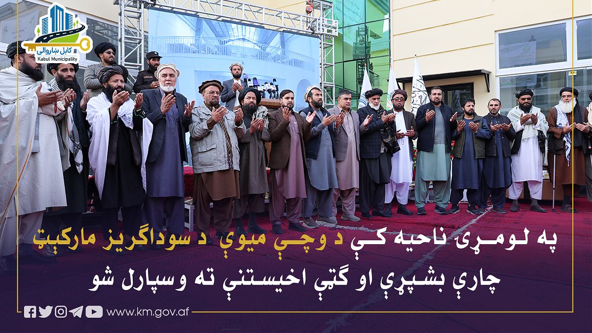 17205.jpg (1820 × 1024)