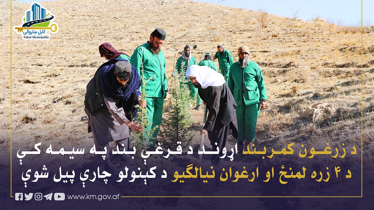 17215.jpg (1820 × 1024)