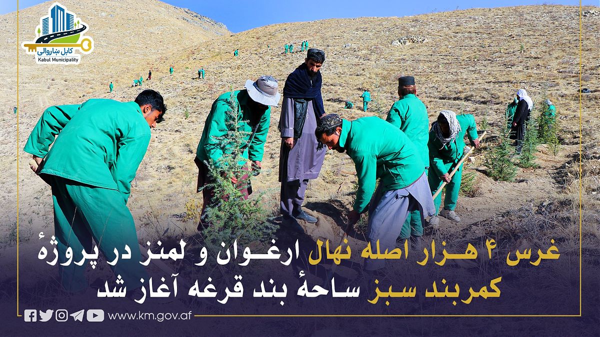 17216.jpg (1820 × 1024)