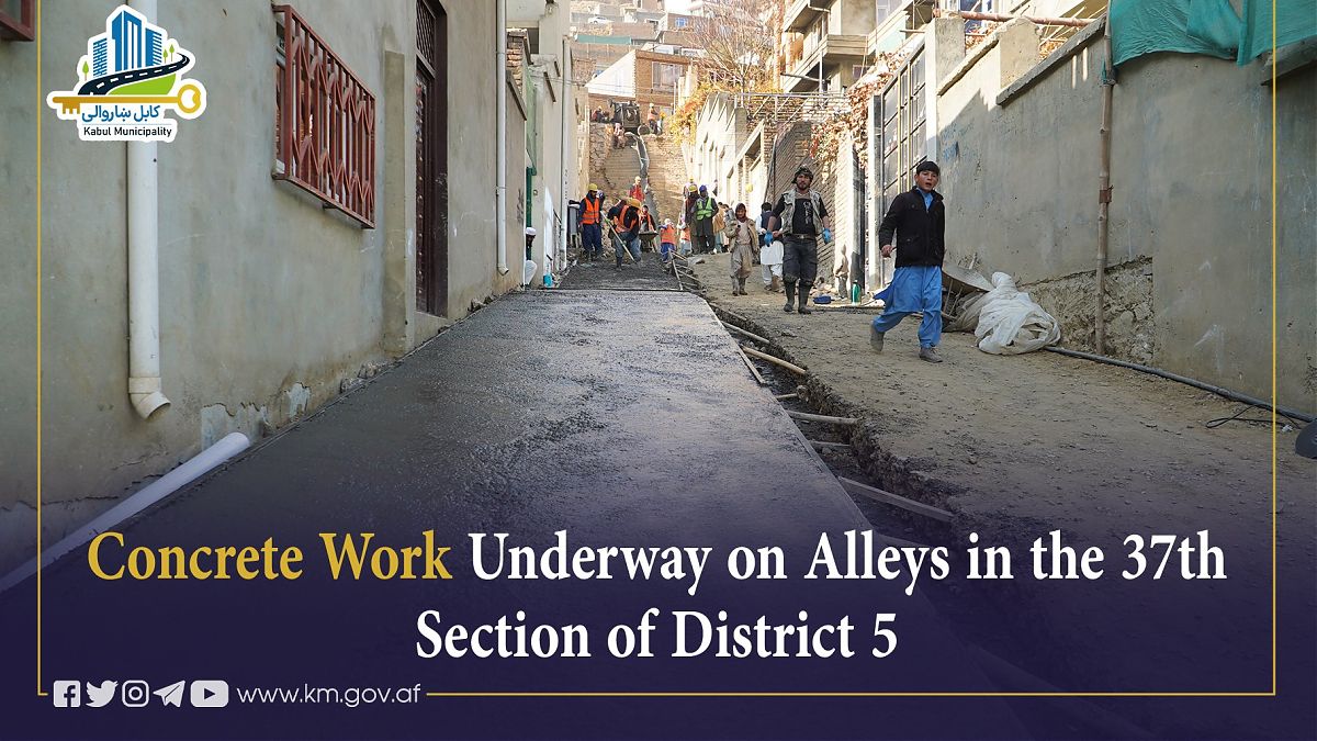 17309.jpg (1820 × 1024)