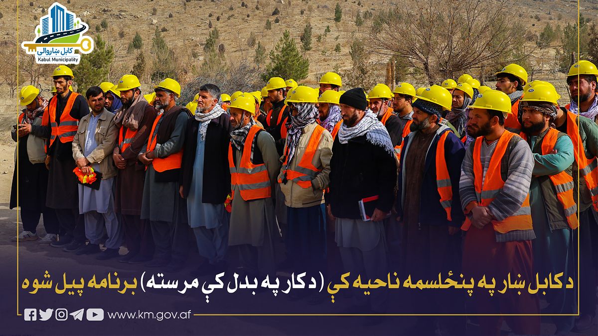 17337.jpg (1820 × 1024)