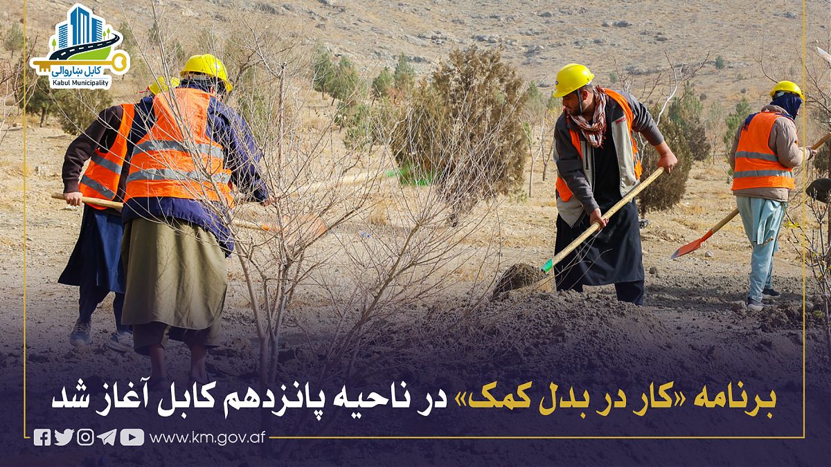 17338.jpg (1820 × 1024)